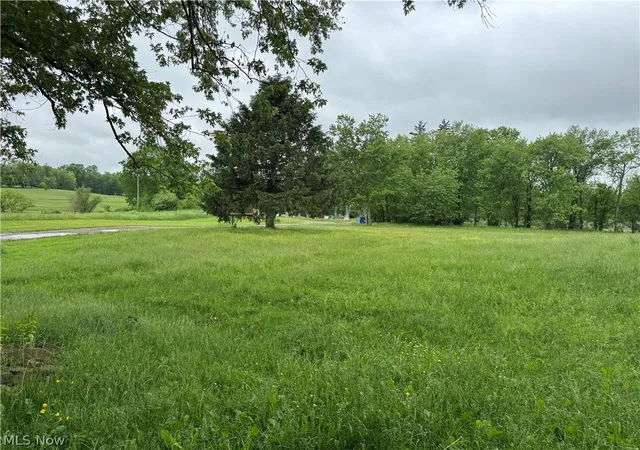 Homes for sale in Leetonia, OH | 2320 Leetonia Rd, Leetonia, OH 44431 | MLS# 5212878