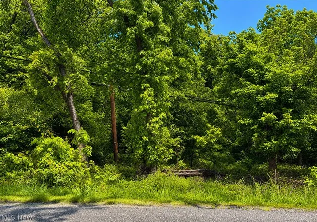 1st image of Sunset, Bridgeport, OH 43912 | MLS# 5212613