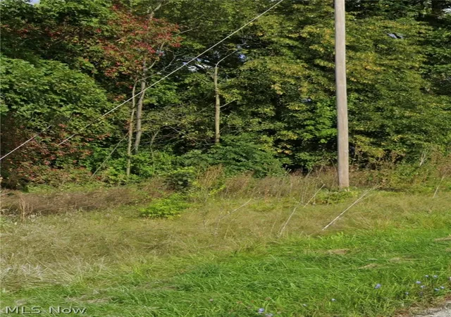 5th image of 0 Rd 424, Antwerp, OH 45813 | MLS# 5213050