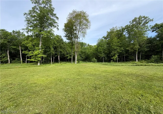 3rd image of 9322 Wadsworth Rd, Marshallville, OH 44645 | MLS# 5213147
