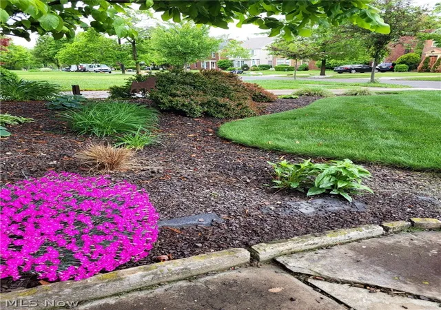 5th image of 3646 Lynnfield Rd, Shaker Heights, OH 44122 | MLS# 5212651