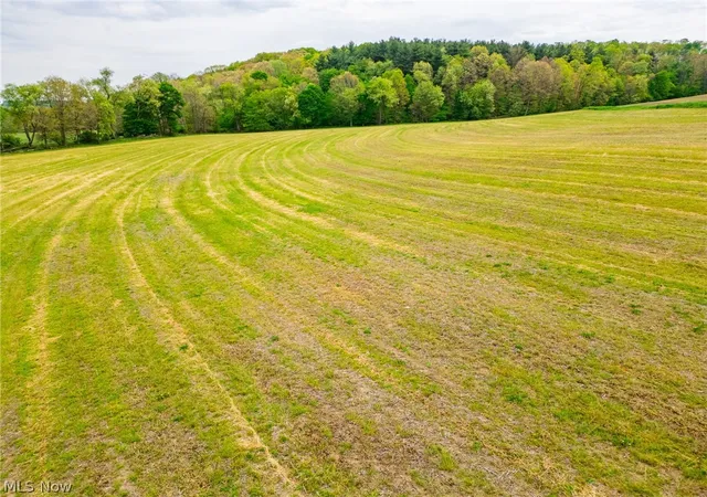 4th image of State Route 644, Salineville, OH 43945 | MLS# 5213590