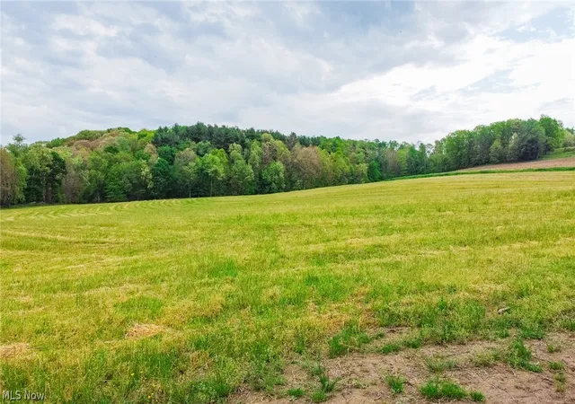 5th image of State Route 644, Salineville, OH 43945 | MLS# 5213590
