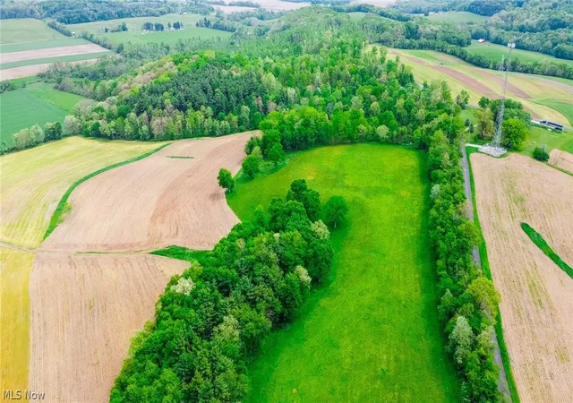 Homes for sale in Salineville, OH | Summitville Rd, Salineville, OH 43945 | MLS# 5213616