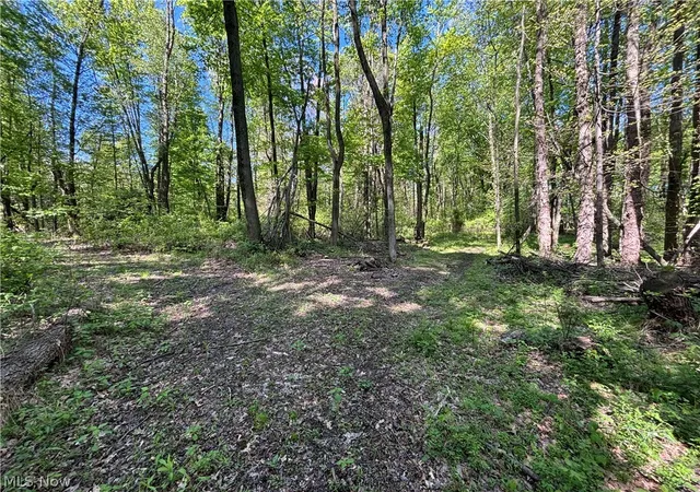 Homes for sale in North Lawrence, OH | 6060 Dalton Fox Lake Rd, North Lawrence, OH 44666 | MLS# 5213947