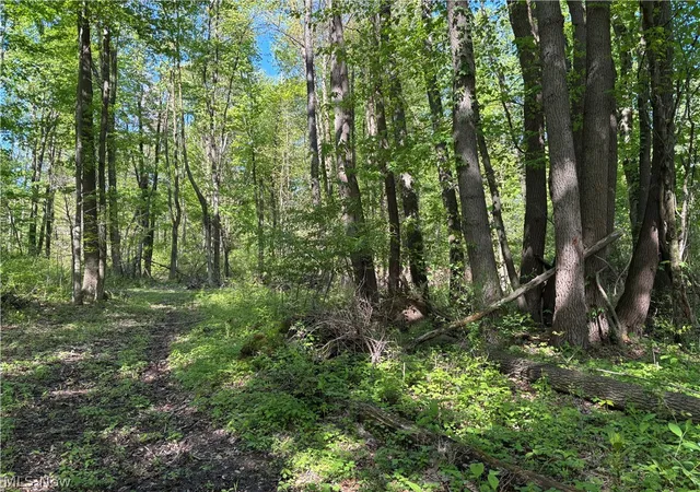 3rd image of 6060 Dalton Fox Lake Rd, North Lawrence, OH 44666 | MLS# 5213947