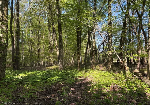 4th image of 6060 Dalton Fox Lake Rd, North Lawrence, OH 44666 | MLS# 5213947