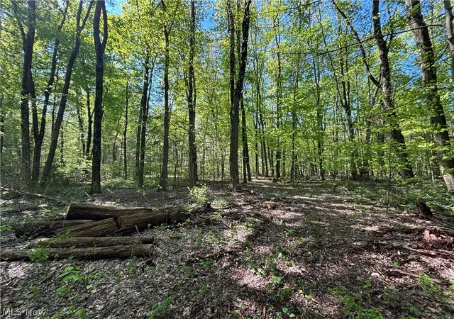 5th image of 6060 Dalton Fox Lake Rd, North Lawrence, OH 44666 | MLS# 5213947