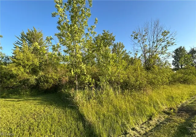 Photo 3 of Land for sale at Weimer Dr, Ashtabula, OH 44004 | MLS# 5214075 | Listing updated on 2026-08-02