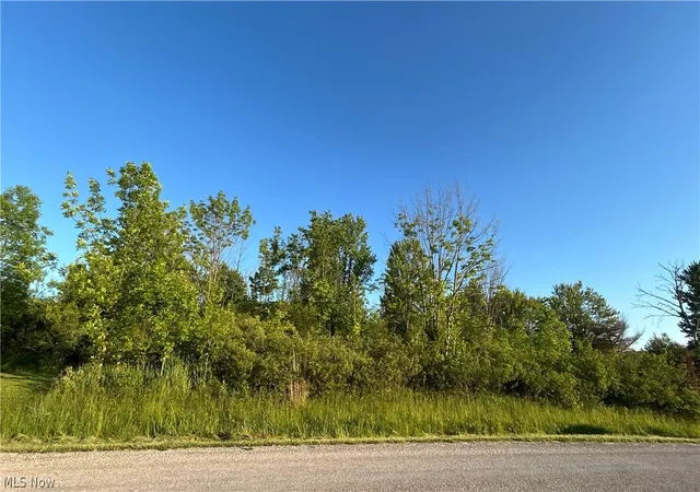 Photo 3 of Land for sale at Weimer Dr, Ashtabula, OH 44004 | MLS# 5214075 | Listing updated on 2026-08-02