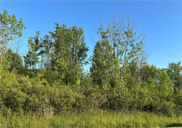 Photo 4 of Land for sale at Weimer Dr, Ashtabula, OH 44004 | MLS# 5214075 | Listing updated on 2026-08-02