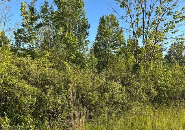 Photo 7 of Land for sale at Weimer Dr, Ashtabula, OH 44004 | MLS# 5214075 | Listing updated on 2026-08-02