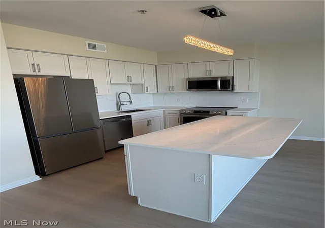 Listing Photo 4 - Condo for sale in Stonebridge Plaza located at 1237 Washington Ave, Cleveland, OH 44113 - Unit #809