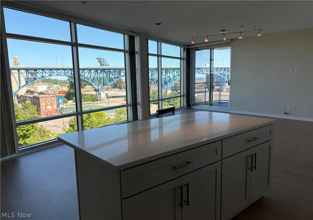 Listing Photo 5 - Condo for sale in Stonebridge Plaza located at 1237 Washington Ave, Cleveland, OH 44113 - Unit #809