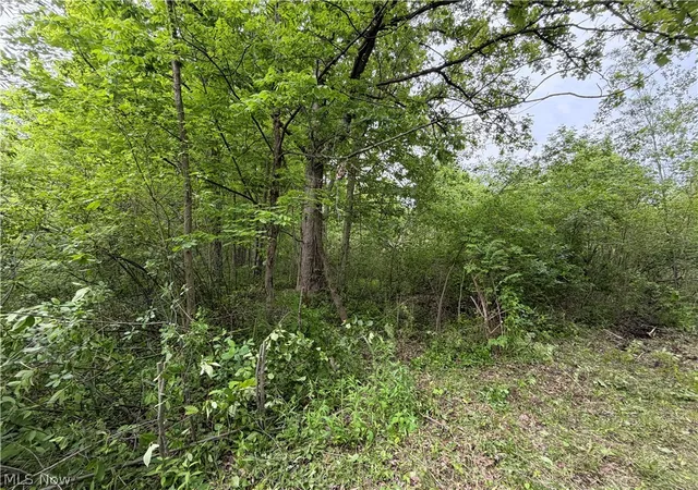Homes for sale in Madison, OH | 0 Dayton Rd, Madison, OH 44057 | MLS# 5212510