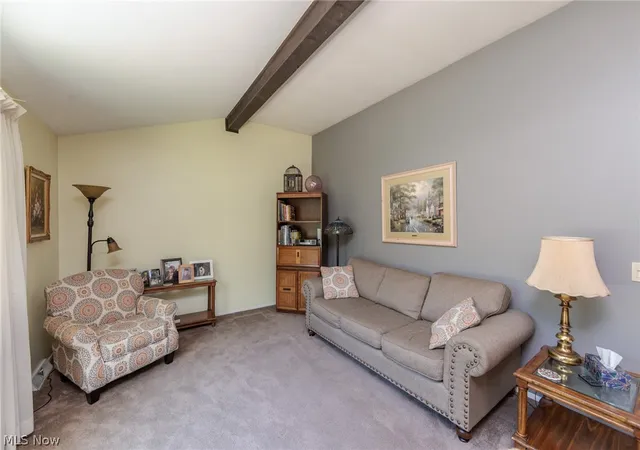 Homes for sale in Macedonia, OH | 1421 Driftwood Ln, Macedonia, OH 44056 | MLS# 5213693
