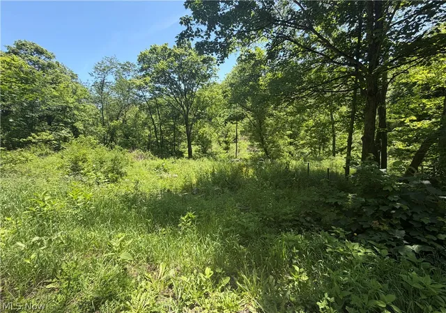 Homes for sale in Kimbolton, OH | 15692 Sligo Rd, Kimbolton, OH 43749 | MLS# 5214463