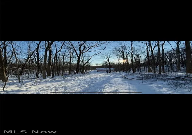 Land for sale at 0 Winterberry Ln, Chardon, OH 44024 | MLS# 5214233