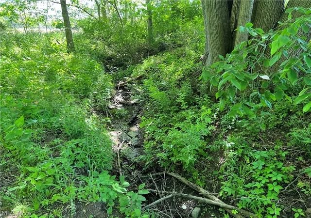 2nd image of Shaw Rd, Spencer, OH 44275 | MLS# 5214074