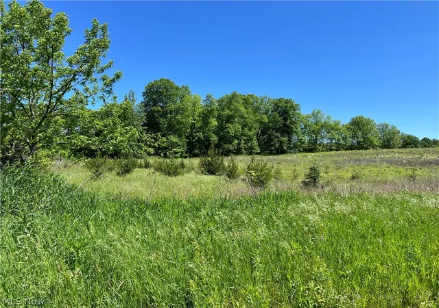 3rd image of Shaw Rd, Spencer, OH 44275 | MLS# 5214074