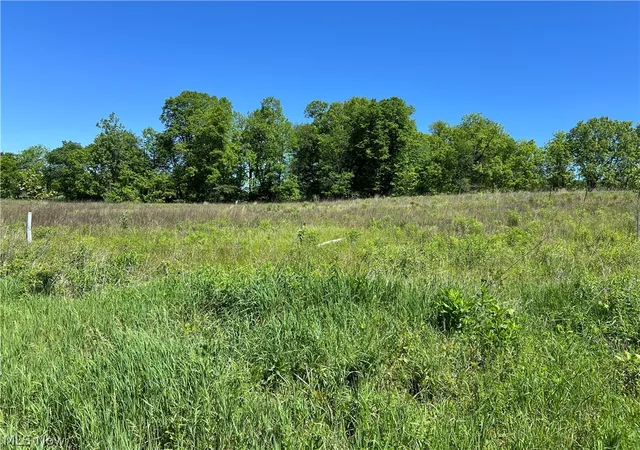 4th image of Shaw Rd, Spencer, OH 44275 | MLS# 5214074