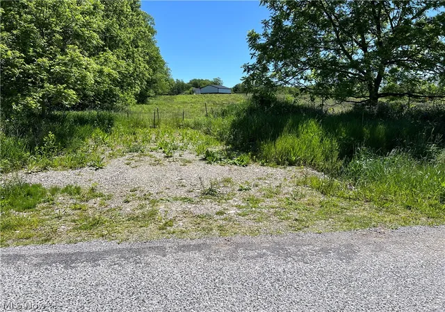 8th image of Shaw Rd, Spencer, OH 44275 | MLS# 5214074