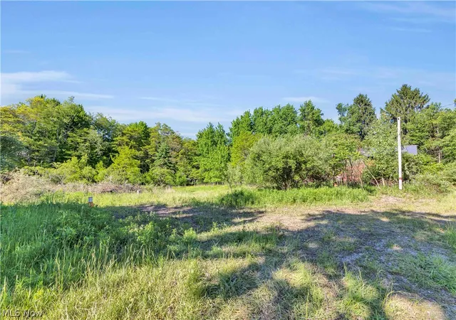 Homes for sale in Mantua, OH | 4957 State Route 82, Mantua, OH 44255 | MLS# 5214273