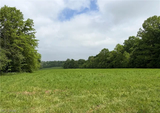 Homes for sale in Shreve, OH | 8416 Township Road 551, Shreve, OH 44676 | MLS# 5215000