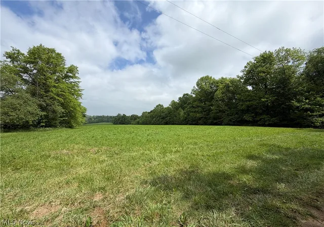 Homes for sale in Shreve, OH | 8416 Township Road 551, Shreve, OH 44676 | MLS# 5215000