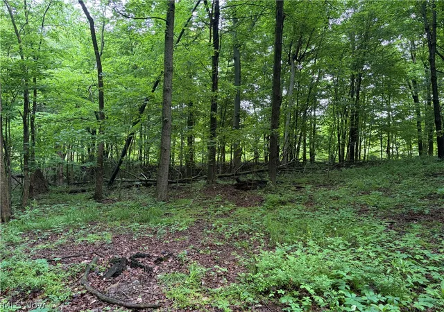 Homes for sale in Shreve, OH | 8416 Township Road 551, Shreve, OH 44676 | MLS# 5215000
