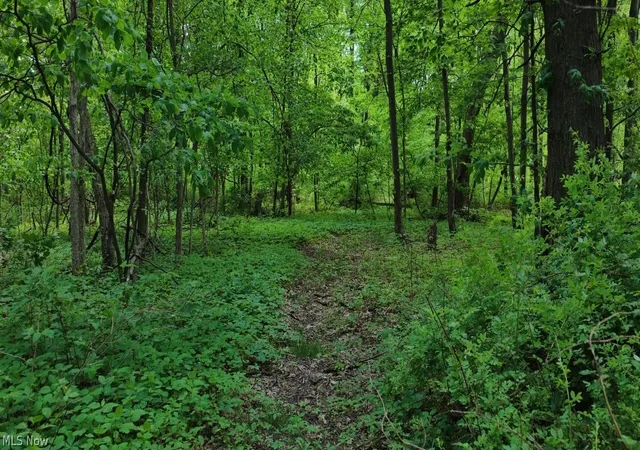 Photo 4 of Sale Pending at 1235 Township Rd 353, Polk, OH 44866 | MLS# 5215059 | Listing updated on 2026-07-01