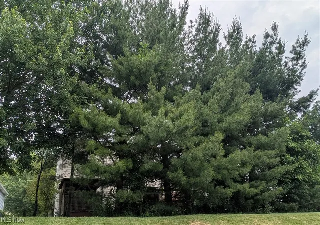 5th image of 144 Royal Crest Dr #O, Seville, OH 44273 | MLS# 5215220