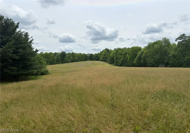 Homes for sale in Salineville, OH | Apollo Rd Ne, Salineville, OH 43945 | MLS# 5215277