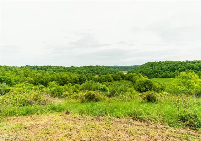 Homes for sale in Uhrichsville, OH | Barkley Road, Uhrichsville, OH 44683 | MLS# 5215364