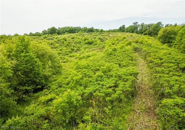 Homes for sale in Uhrichsville, OH | Barkley Road, Uhrichsville, OH 44683 | MLS# 5215364
