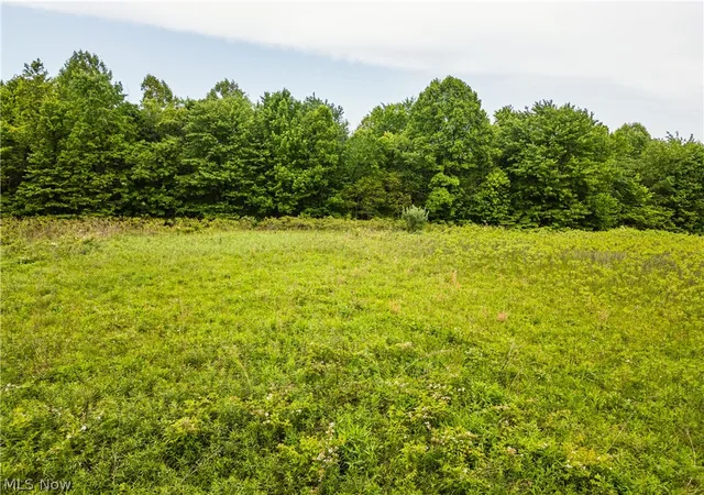 Homes for sale in Uhrichsville, OH | Edie Hill Road Road, Uhrichsville, OH 44683 | MLS# 5215374