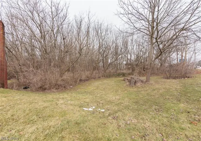 Homes for sale in North Ridgeville, OH | 35206 Center Ridge Rd, North Ridgeville, OH 44039 | MLS# 5215627