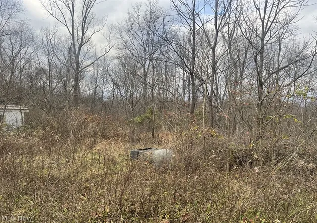 2nd image of 231 Big Oak Rd, Malta, OH 43758 | MLS# 5215665
