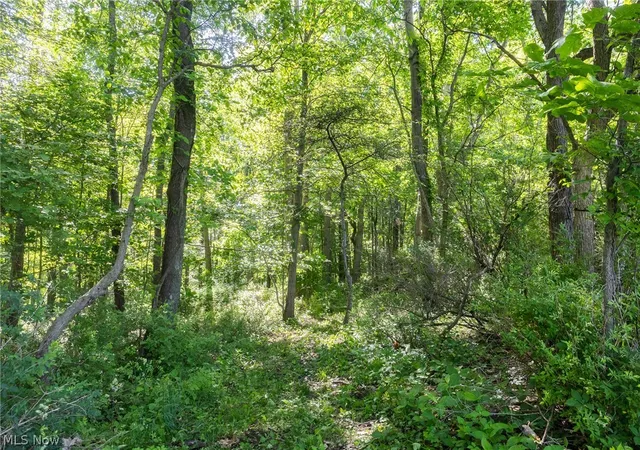 4th image of Ridge Rd, Minerva, OH 44657 | MLS# 5215714