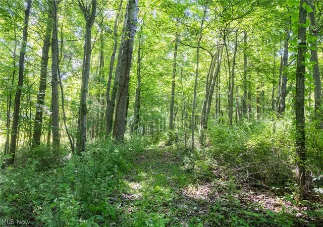 5th image of Ridge Rd, Minerva, OH 44657 | MLS# 5215714