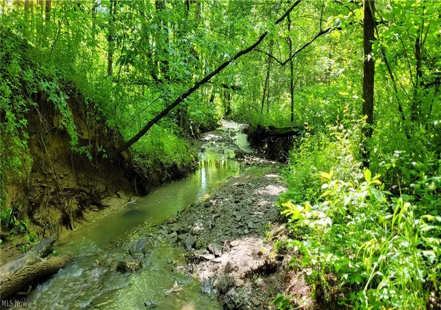 Photo 3 of Land for sale at Hollis Clark Rd, Caldwell, OH 43724 | MLS# 5209771 | Listing updated on 2026-10-05
