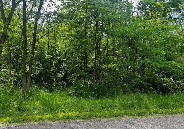1st image of 2375 Howland Wilson Rd Ne, Cortland, OH 44410 | MLS# 5216071