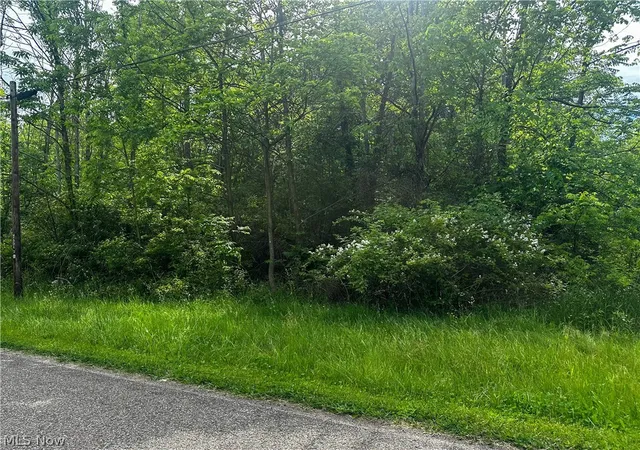 2nd image of 2375 Howland Wilson Rd Ne, Cortland, OH 44410 | MLS# 5216071
