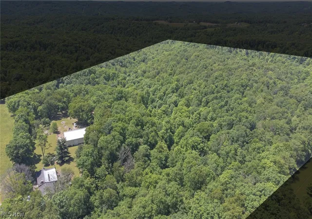 3rd image of 38967 State Route 39 Rd, Salineville, OH 43945 | MLS# 5215813