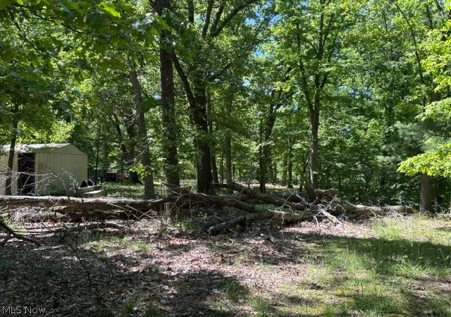 44th image of 38967 State Route 39 Rd, Salineville, OH 43945 | MLS# 5215813