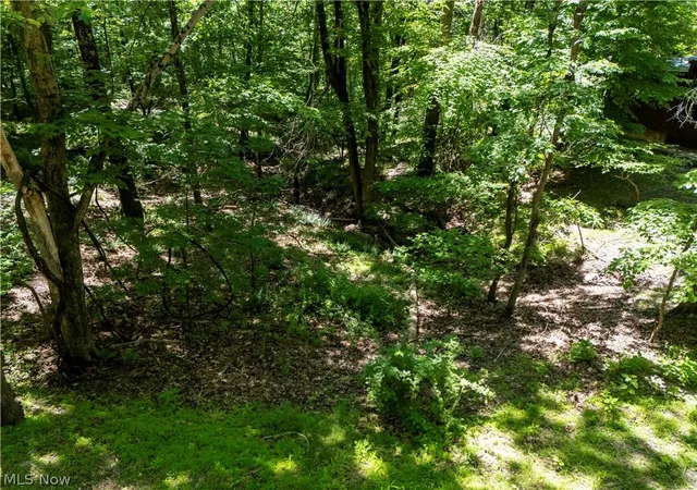 Homes for sale in Loudonville, OH | 16135 Township Road 211 #477-478-479, Loudonville, OH 44842 | MLS# 5215818
