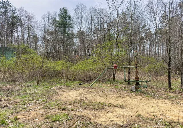 28th image of 0 St Rt 258, Port Washington, OH 43837 | MLS# 5216578