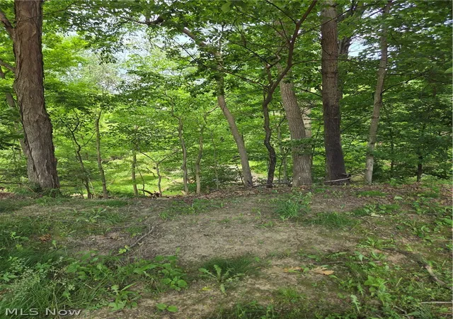 Photo 4 of Land for sale at 1065 Rosealee Ave, Elyria, OH 44035 | MLS# 5216614 | Listing updated on 2026-07-29