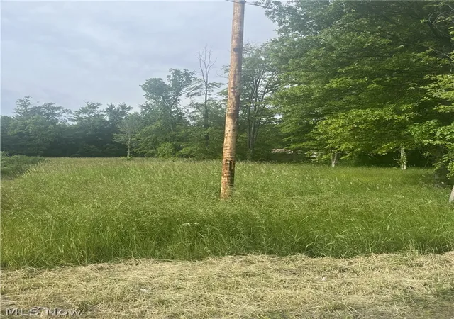 Homes for sale in Oberlin, OH | 50867 Becker Rd, Oberlin, OH 44074 | MLS# 5216624