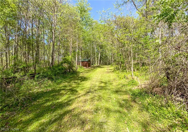 Photo 3 of Sale Pending at 0 Brushy Hl Rd, Jerusalem, OH 43747 | MLS# 5216832 | Listing updated on 2026-09-30